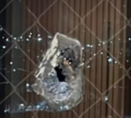 PMGO prende homem que comemorou herança com disparo de arma em apartamento