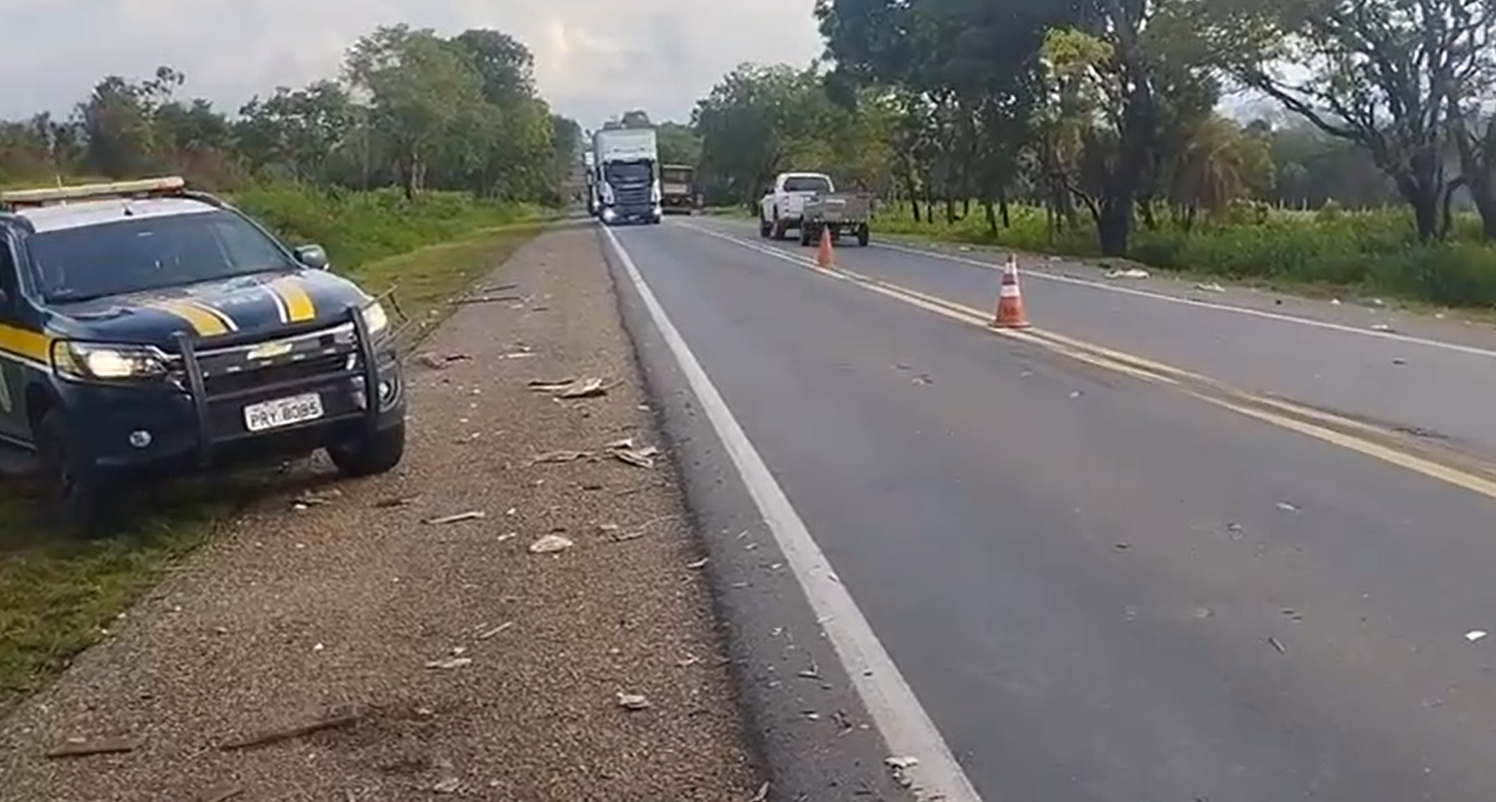 Colisão entre ônibus e caminhão mata dois motoristas na BR-153 em Hidrolina