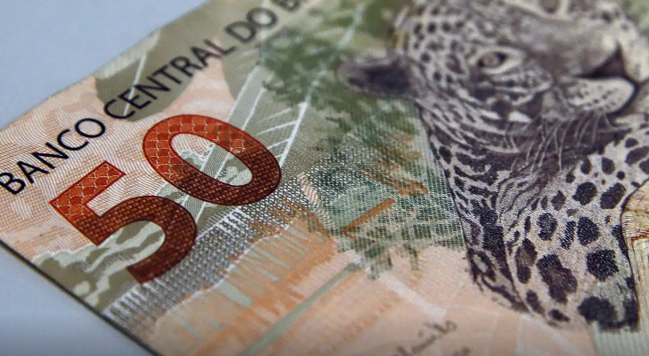 Fundações e associações sem fins lucrativos pagaram salários maiores que empresas, aponta IBGE