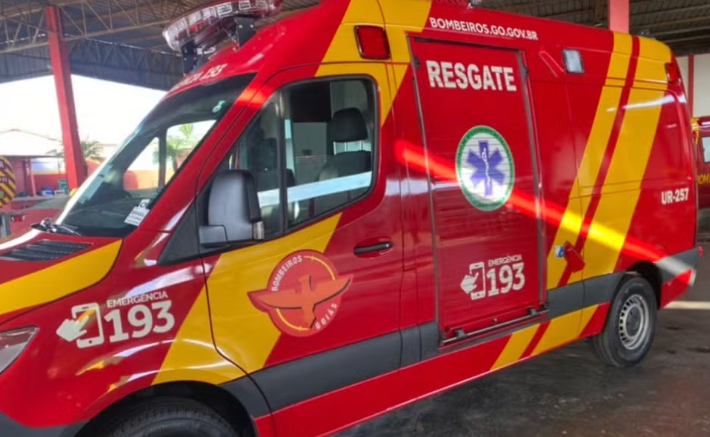 Homem morre após ataque de marimbondos em Aparecida de Goiânia