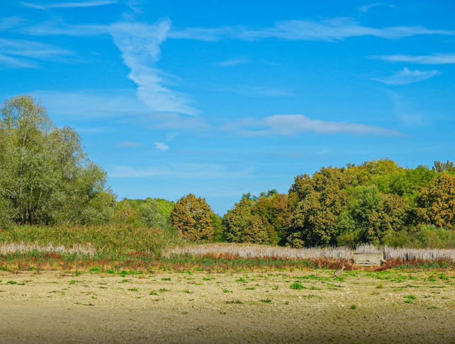 Leilões bancários oferecem imóveis com preços baixos em Goiás neste mês 