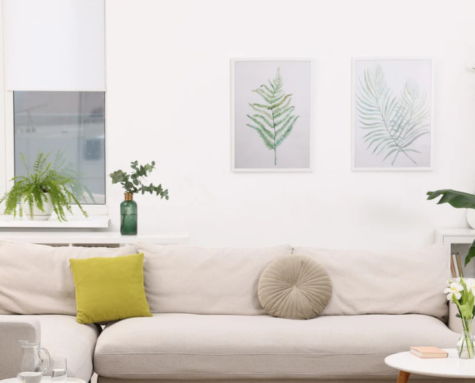 Feng Shui aponta como energia feminina influencia o lar