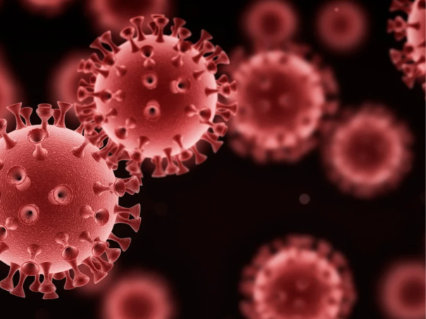 Dois pacientes podem estar curados do HIV após transplante