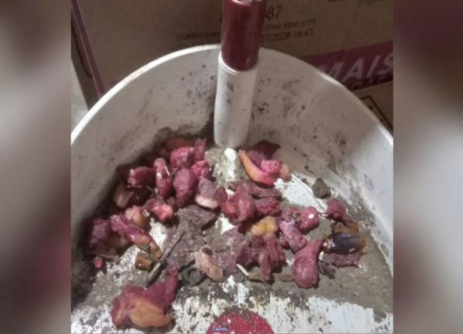 Gerente é preso após contratar empresa para envenenar gatos em supermercado de Mineiros