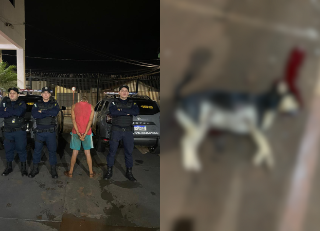 Homem é preso por matar cachorro a facadas na Vila Amália, em Rio Verde