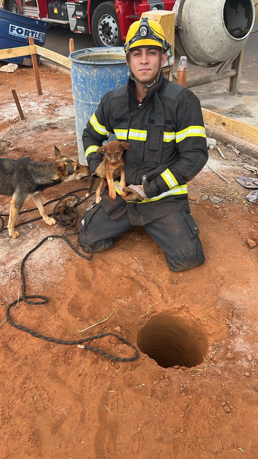 Bombeiros resgatam 9 filhotes de cachorro presos em buracos durante obra em Goiatuba