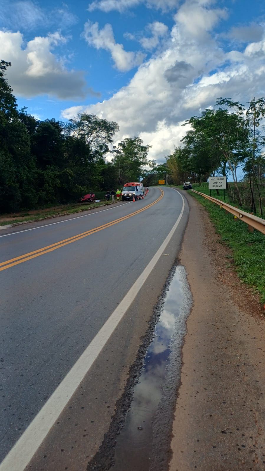 Capotamento em rodovia de Goiás deixa jovem morta e motorista preso por embriaguez