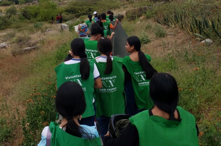 Ações de voluntariado movimentam Goiânia com plantio, bazar beneficente e congresso internacional