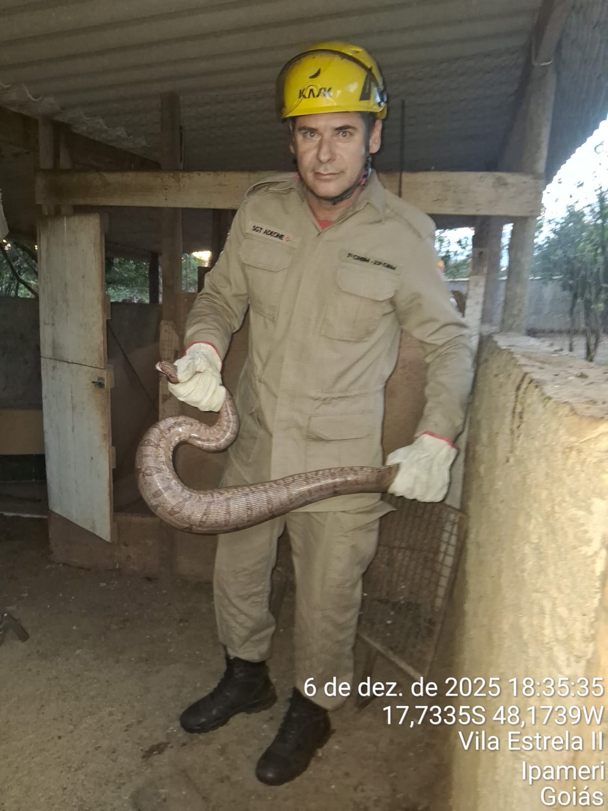 Jiboia é resgatada dentro de galinheiro e devolvida à natureza em Ipameri