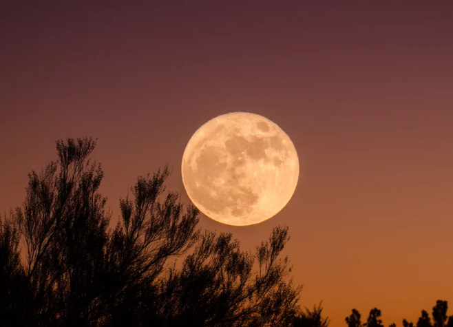 A MAIOR SUPERLUA DE 2024 BRILHARÁ NO CÉU NESTA QUINTA (17)