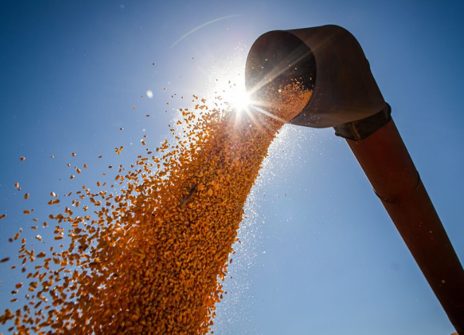 Com crédito mais caro e tensão no campo, governo lança Plano Safra empresarial 2025/2026