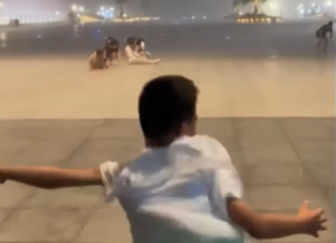 Tufão na China faz arrastar pessoas e criança 