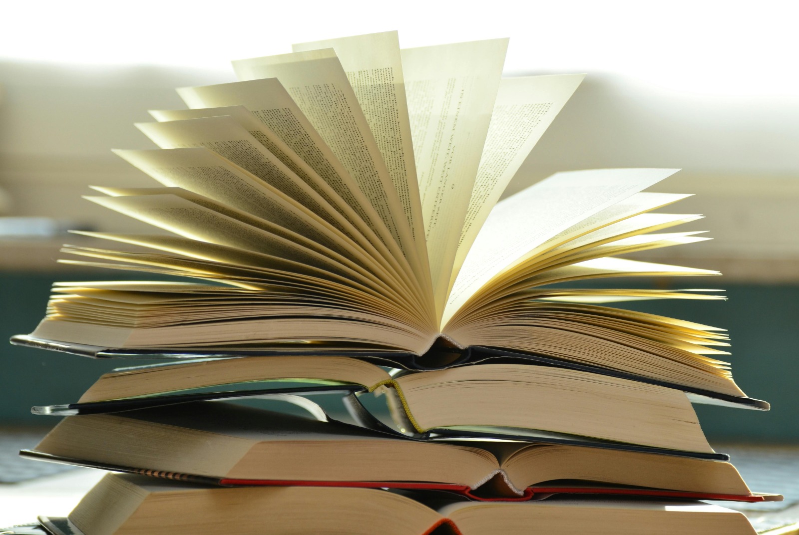 Instituto Unimed Goiânia promove evento para incentivar a leitura com obra de Clarice Lispector 