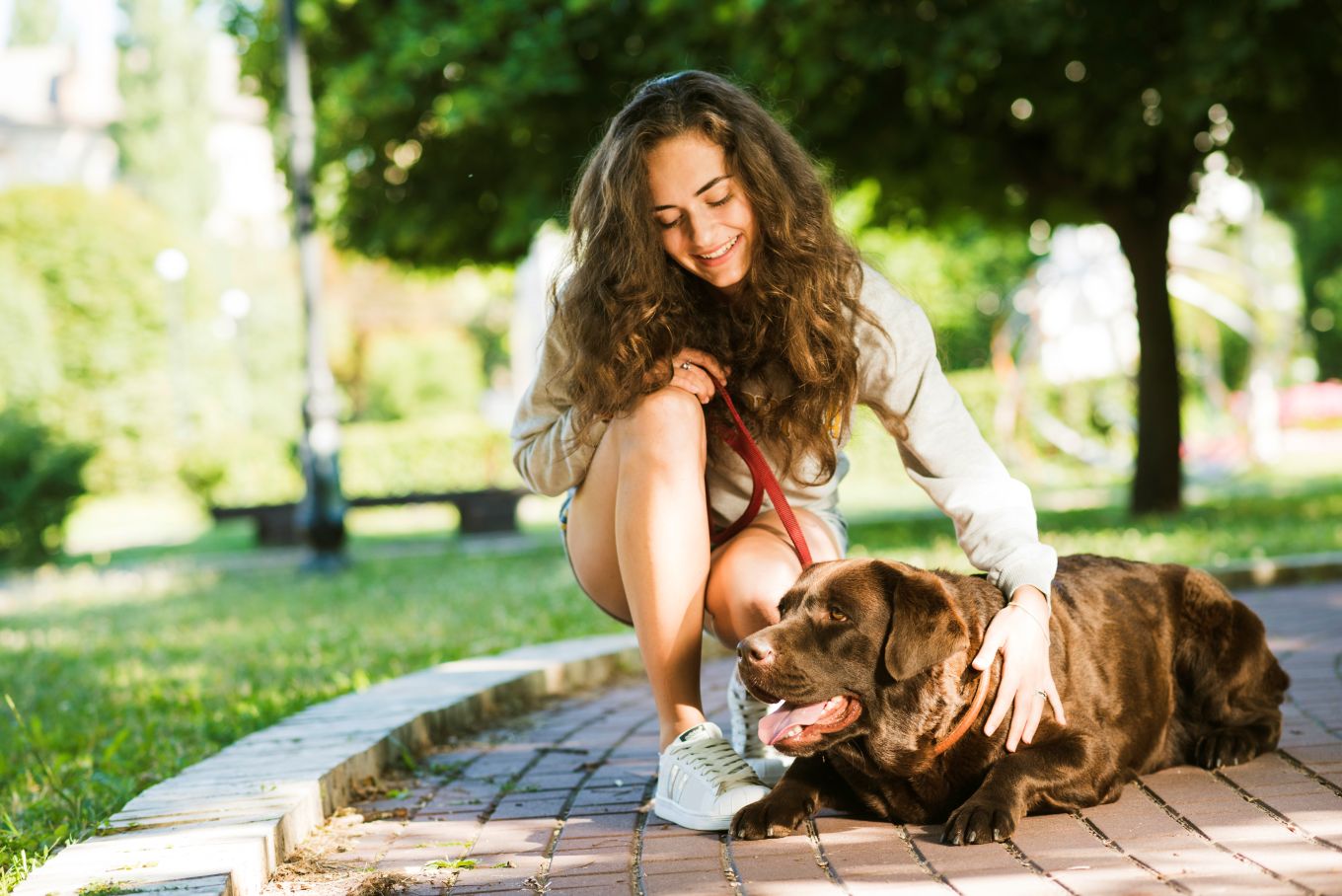 Evento gratuito para pets reúne feira de adoção e bate-papo com especialista neste sábado