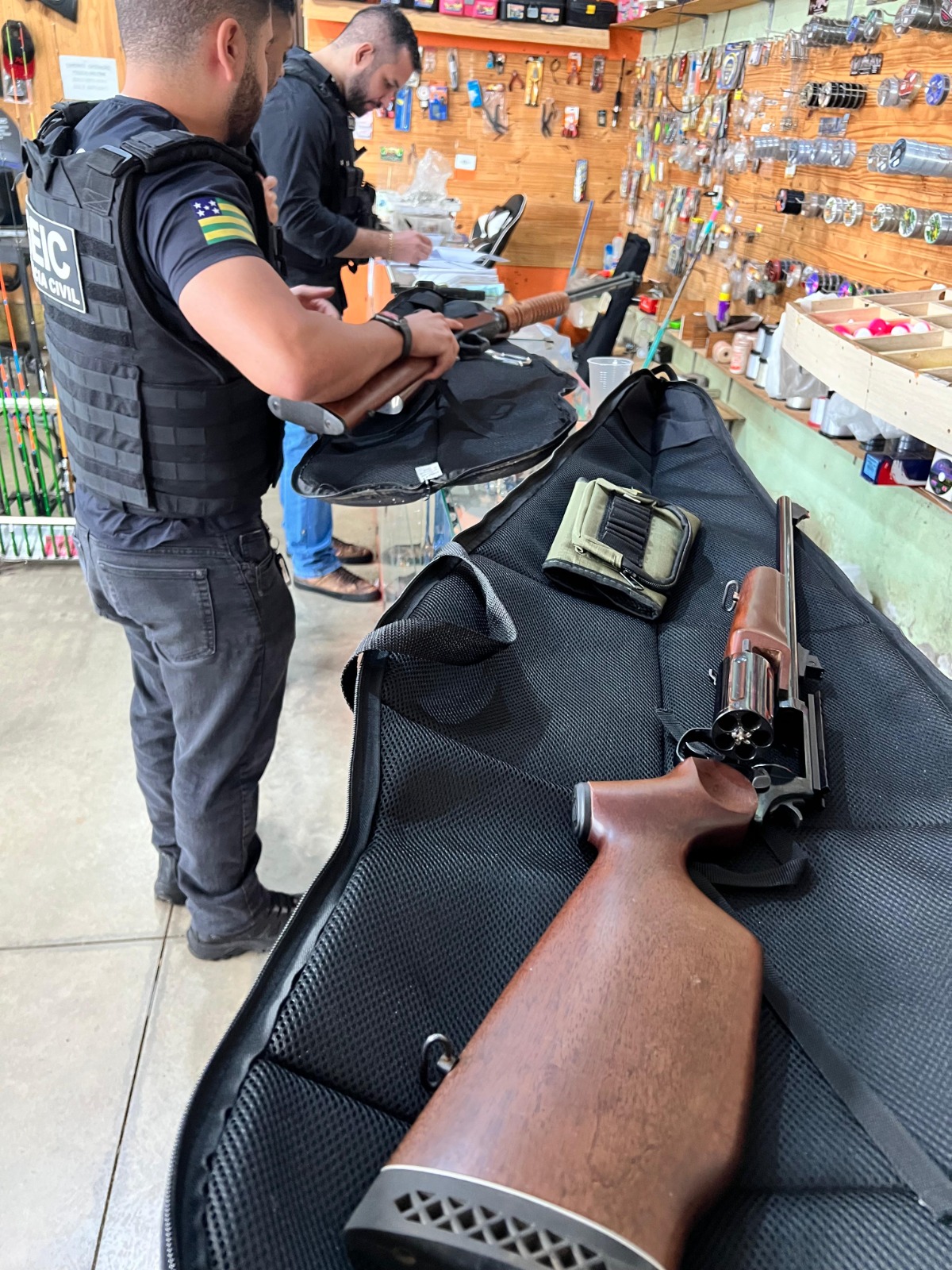 Operação da Polícia Civil apreende 14 armas de fogo e prende seis em Goiás 