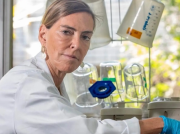 Brasileira desafia a medicina e faz tetraplégicos voltarem a andar após quase 30 anos de pesquisa; saiba quem é