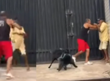 Briga entre tutores e animais após um dos cães cheirar traseiro de outro volta a viralizar