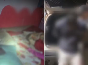 Homem mata esposa e deixa corpo ao lado de bebê