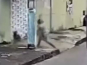 Mulher é presa após agredir cachorro com pauladas em GO