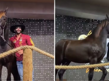 Gusttavo Lima leiloa égua por R$ 1,1 milhão e doa valor a hospital em Goiás