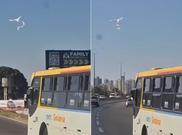 Pipa acompanha ônibus durante trajeto pela BR-153 em Goiânia