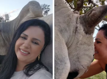 Boi de estimação reconhece dona e reforça decisão de não comer carne