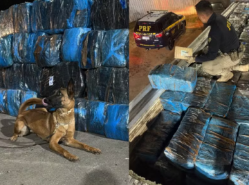 PRF apreende 3,7 toneladas de skunk em Cristalina