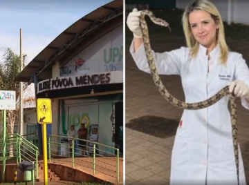 Mulher é picada por cobra em Goiás e leva animal à UPA