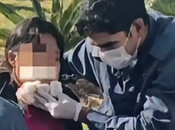 Ambulante autista é baleada no rosto em frente à rodoviária de Goiânia; suspeito morre após confronto com a PM