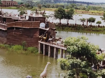 Túmulo com TV, celular e até comida chama atenção em Goiás e vira atração inusitada