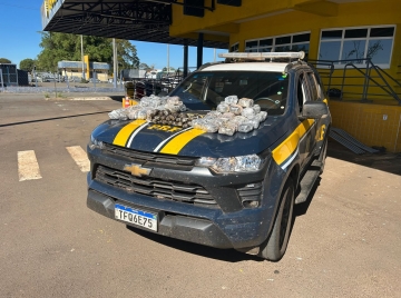 PRF encontra 37 kg de haxixe em tanque adaptado na BR-153, em Goiás
