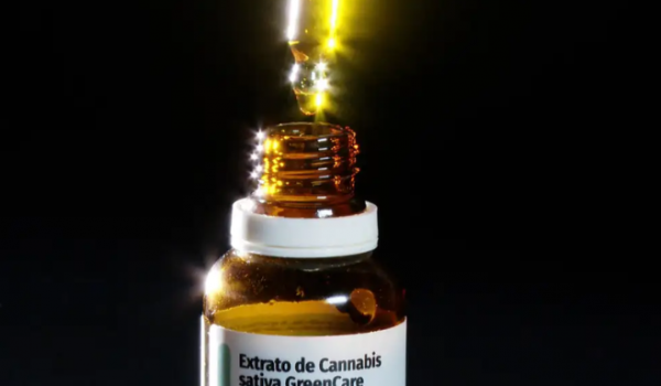 Anvisa amplia regras e autoriza cultivo e venda de cannabis medicinal no Brasil