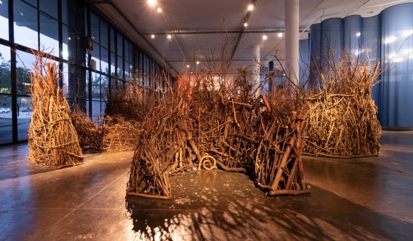 Goiânia recebe exposição da 36ª Bienal de São Paulo no MAC Goiás