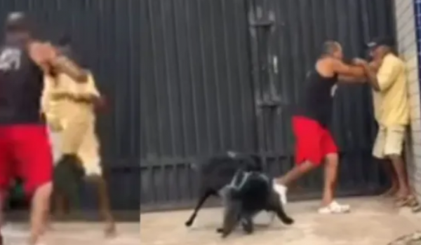 Briga entre tutores e animais após um dos cães cheirar traseiro de outro volta a viralizar