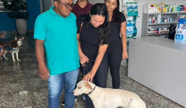 Cão ganha novo lar após resgate que comoveu Rio Verde