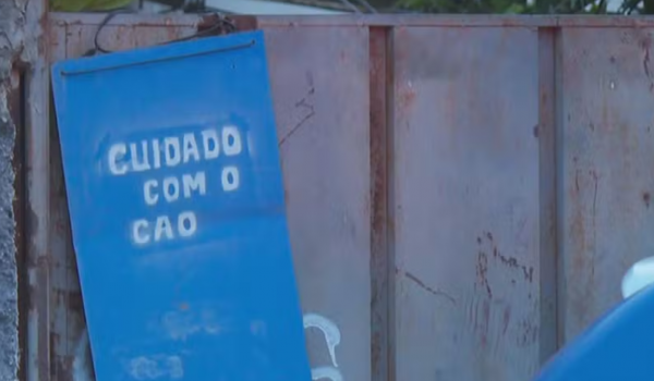 Bebê foi arrancado do colo da mãe por pit bull antes de morrer em Goiânia