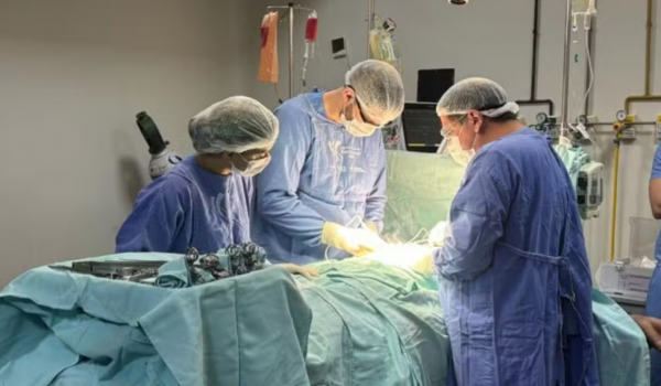 Hospital HGG bate recorde de transplantes em 2024 e se torna referência nacional 