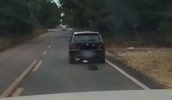 Cachorro é arrastado por carro na GO-154 e caso levanta suspeita de maus-tratos 