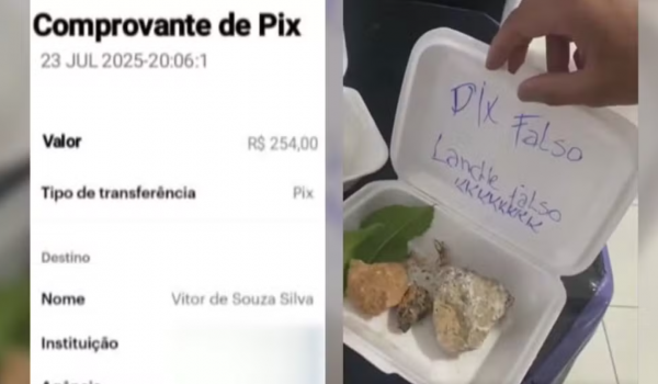 Após golpe do PIX, lanchonete em Anápolis envia pedra e restos de comida no lugar do pedido 