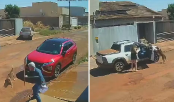 Oficial de justiça atira em cachorro em Santa Helena de Goiás e é afastado por 90 dias 