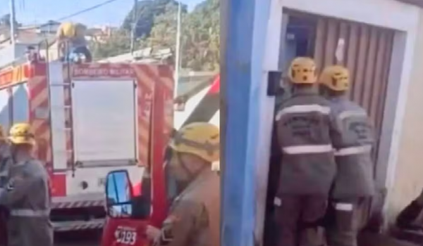 Mulher morre após ataque de pit bull dentro de casa em Anápolis