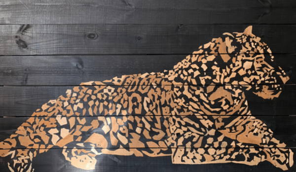 Exposição Arte Cerrado destaca biodiversidade em mostra no Passeio das Águas Shopping