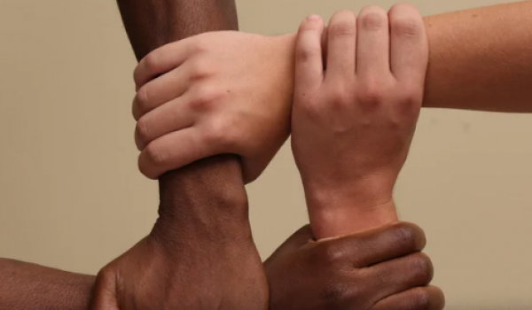 Lei que amplia cotas raciais em concursos temporários e estágios é aprovada em Goiás