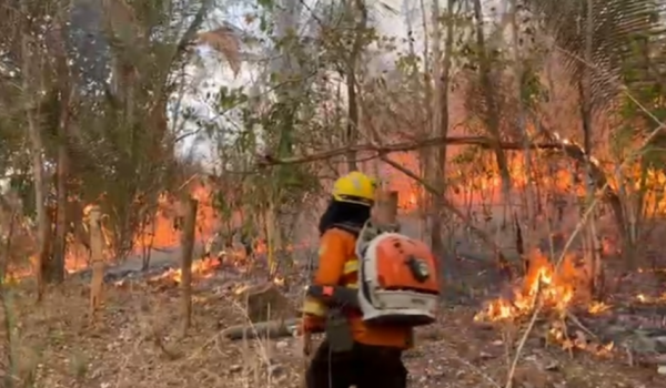 Incêndio na Chapada dos Veadeiros em Goiás já atinge 87 mil hectares