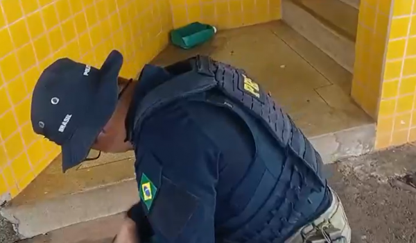 PRF apreende haxixe e prende foragido da Justiça durante fiscalização de ônibus na BR-153