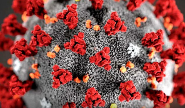 Mais de 40 mil crianças goianas perderam pais ou cuidadores durante a pandemia, aponta estudo