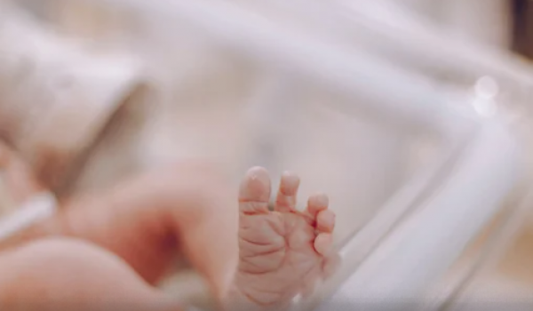 Nomes mais comuns em Goiás revelados pelo IBGE