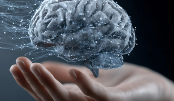 Estudo revela que o envelhecimento do cérebro pode ser controlado por escolhas diárias