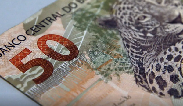 Fundações e associações sem fins lucrativos pagaram salários maiores que empresas, aponta IBGE