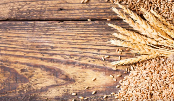 Goiás registra superávit de US$ 7,3 bilhões na balança comercial em 2025